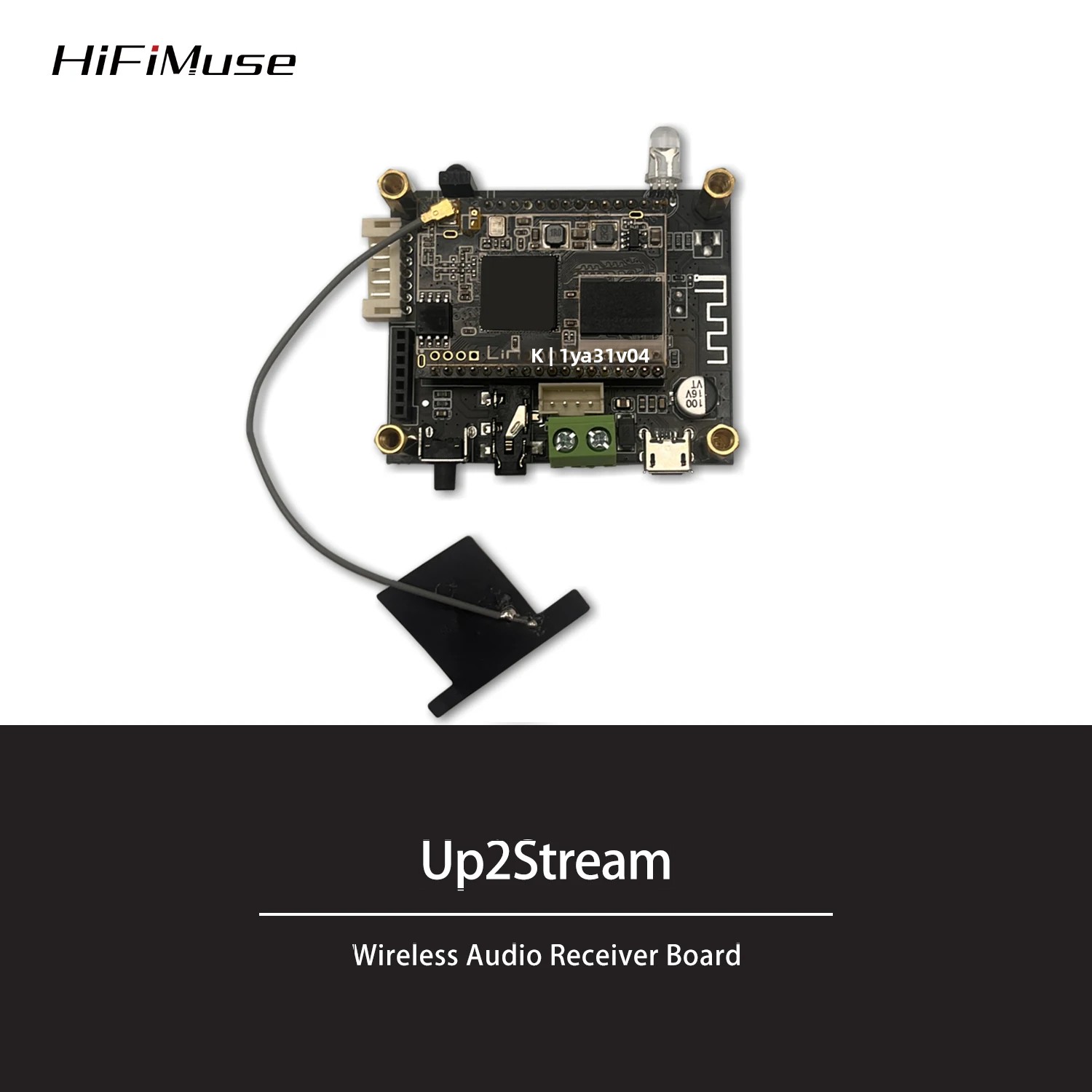 D10 WiFi y Bluetooth 5,0 Audio - Microphone Module reseña y precio